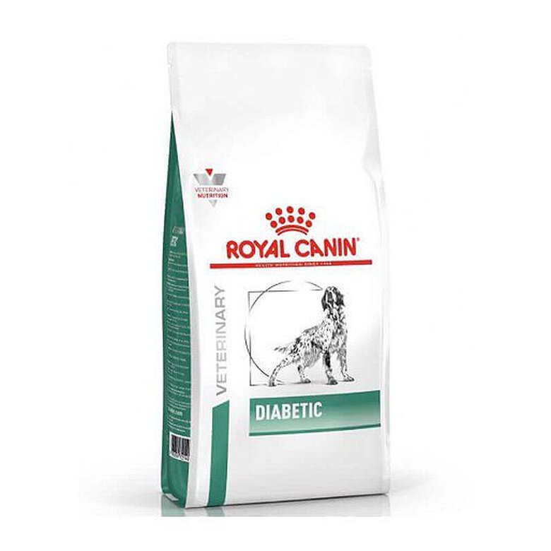 Royal Canin - Croquettes Veterinary Diet Diabetic pour Chien - 12Kg Image numéro 1 Royal Canin - Croquettes Veterinary Diet Diabetic pour Chien - 12Kg Image numéro 1