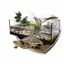 Animalis - Kit Tortue Aquatique - 60 Indicateur image numéro 2