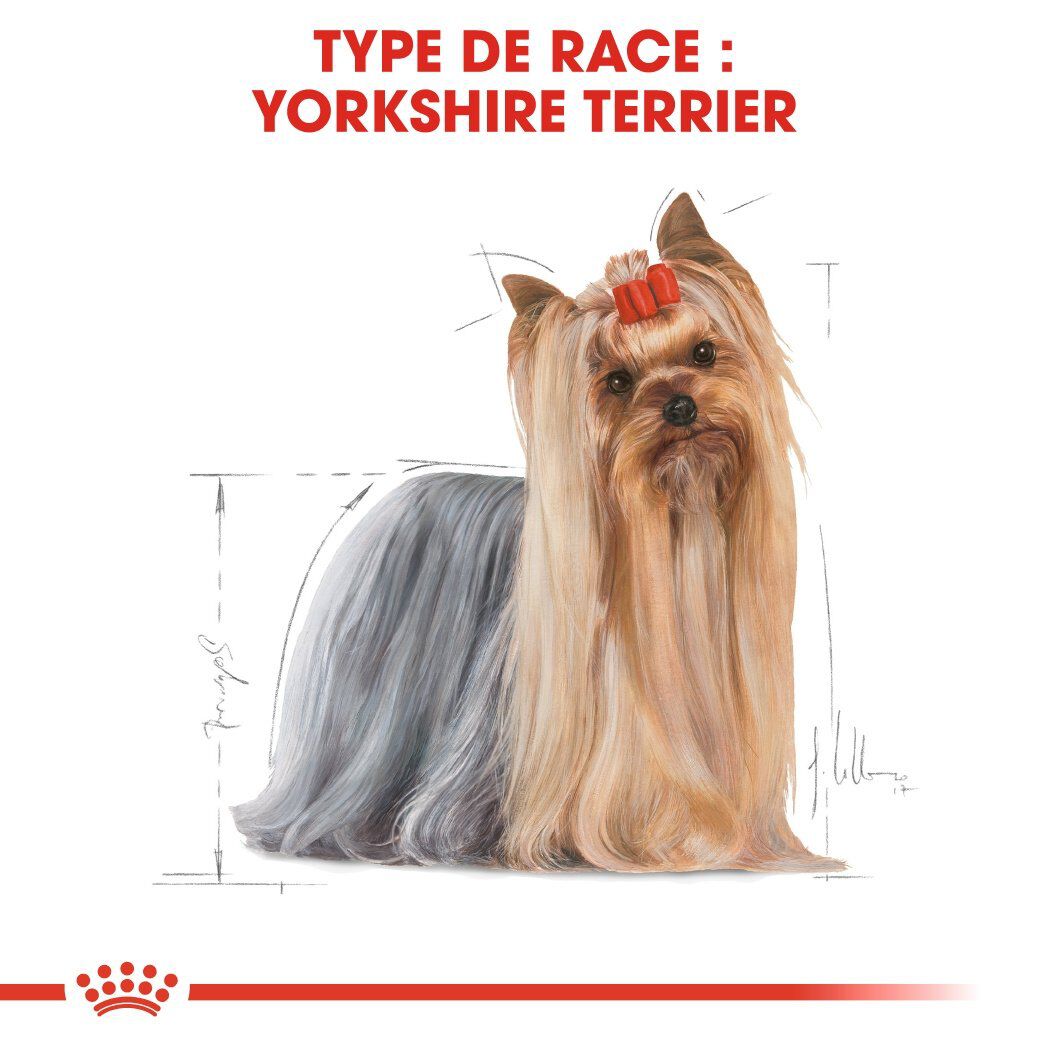 Royal Canin - Croquettes Yorkshire Terrier pour Chien Adulte - 1,5Kg Image num&eacute;ro 3