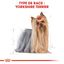 Royal Canin - Croquettes Yorkshire Terrier pour Chien Adulte - 1,5Kg Indicateur image numéro 3