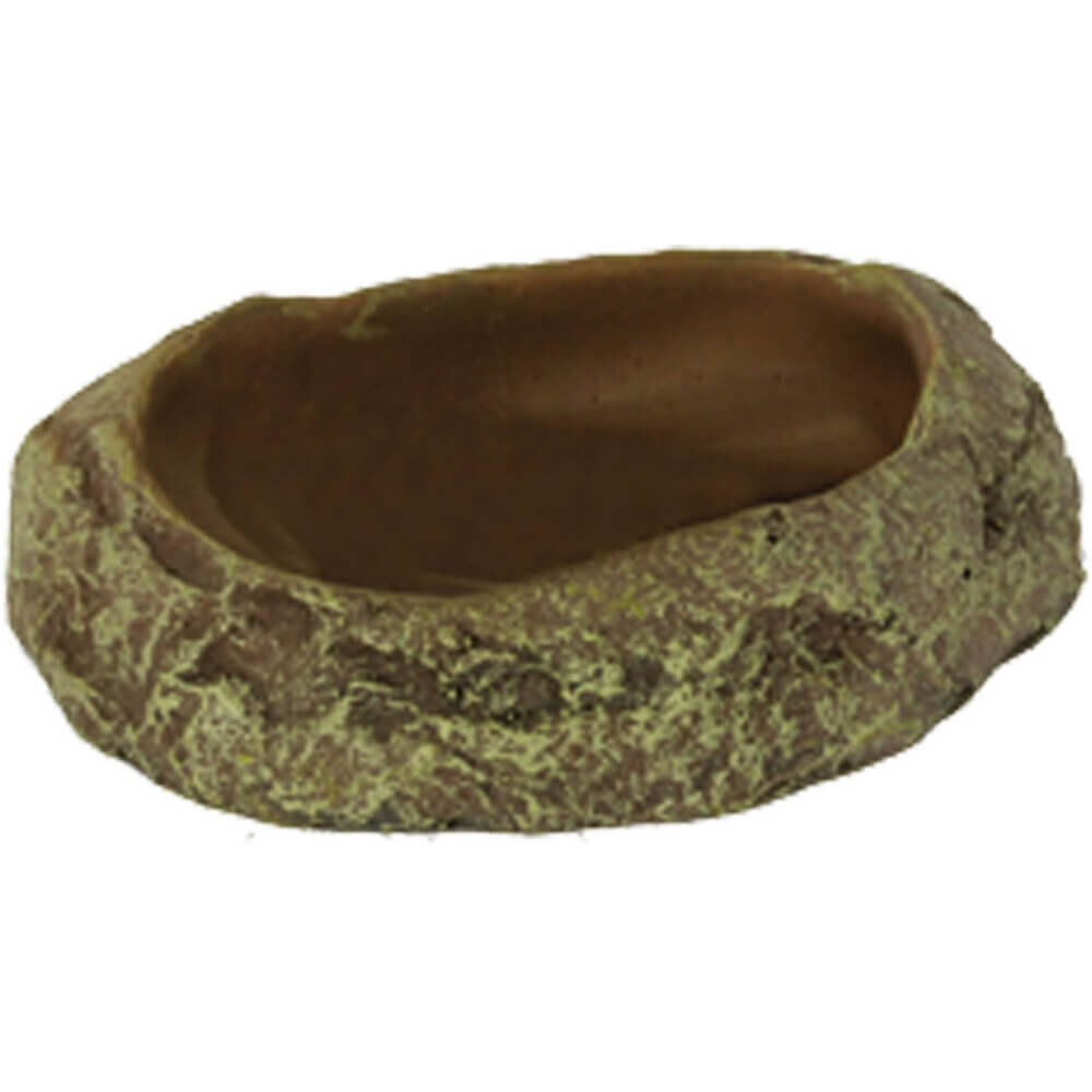 Animalis - Kit Gecko - 50cm Image num&eacute;ro 7