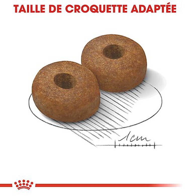 Royal Canin - Croquettes Maxi Ageing 8+ pour Chien Senior - 3Kg image number null