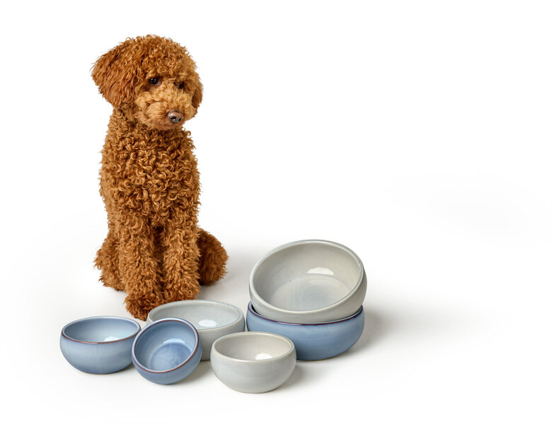 Hunter - Gamelle Braga en Céramique Multicolore - 310ml Image numéro 3 Hunter - Gamelle Braga en Céramique Multicolore - 310ml Image numéro 3