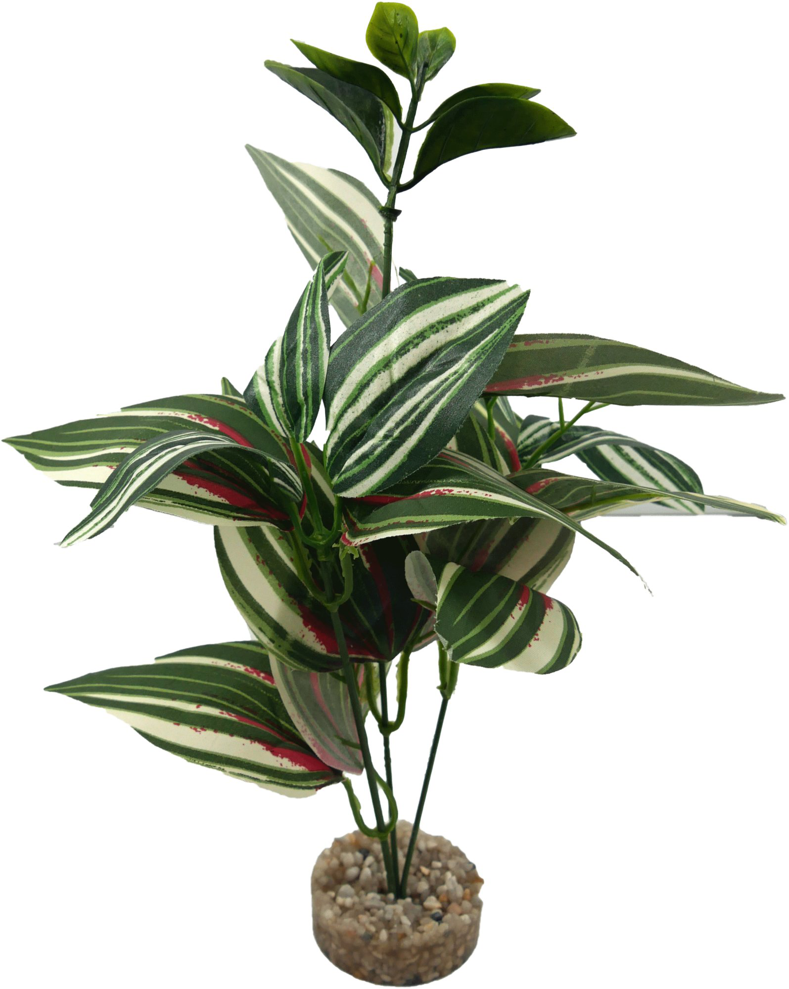 Labeo - Plante Verte Assortie D&eacute;corative pour Terrarium Image num&eacute;ro 2