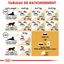Royal Canin - Croquettes Maine Coon pour Chat Adulte - 10Kg Indicateur image numéro 7