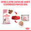 Royal Canin - Tendre Mousse Mother & Babycat Chatte et Chaton 0 à 4 Mois - 195g Indicateur image numéro 10