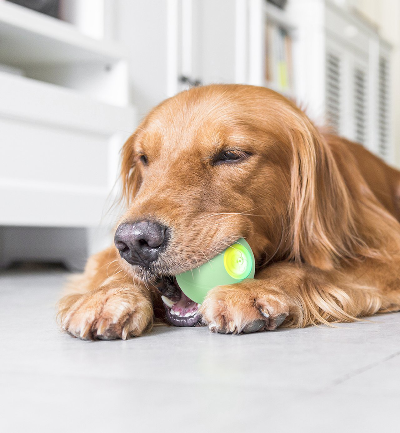 Cheerble - Balle Pelote Interactive Cheerble PE pour Chats Image num&eacute;ro 1