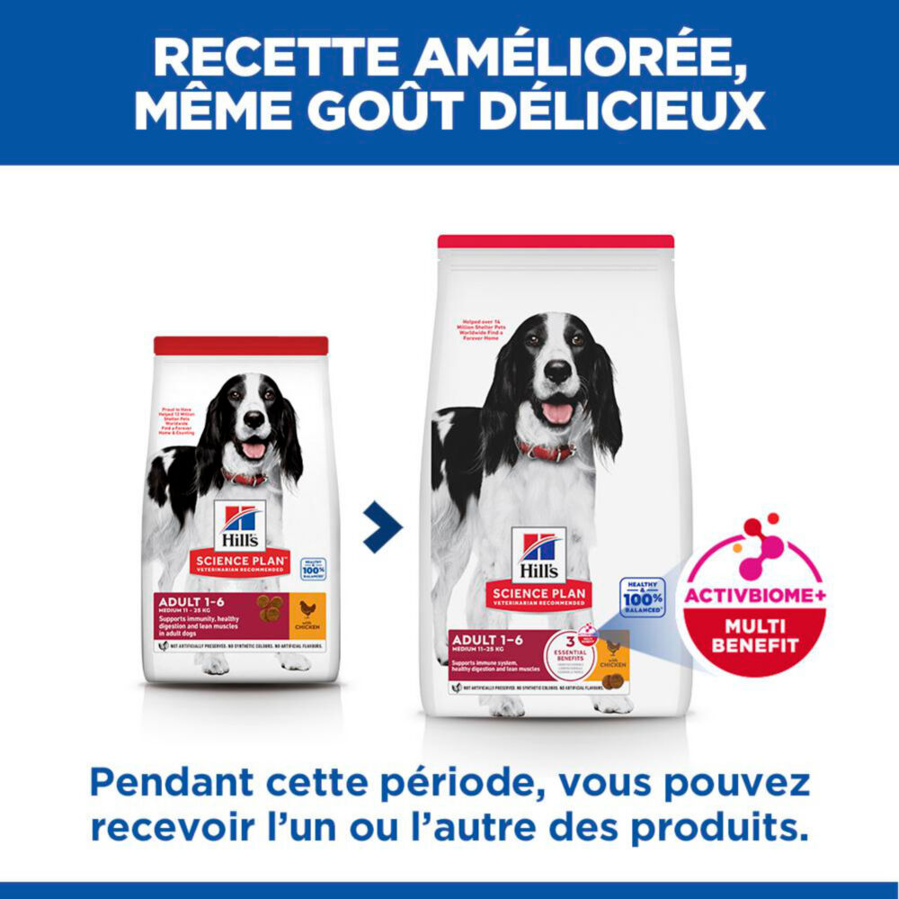Hill's Science Plan - Croquettes Adult  Au Poulet pour Chiens - 12kg Image num&eacute;ro 5