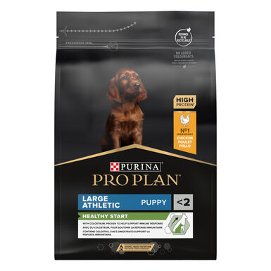 Pro Plan - Croquettes Healthy Start Large Athletic Poulet pour Chiot