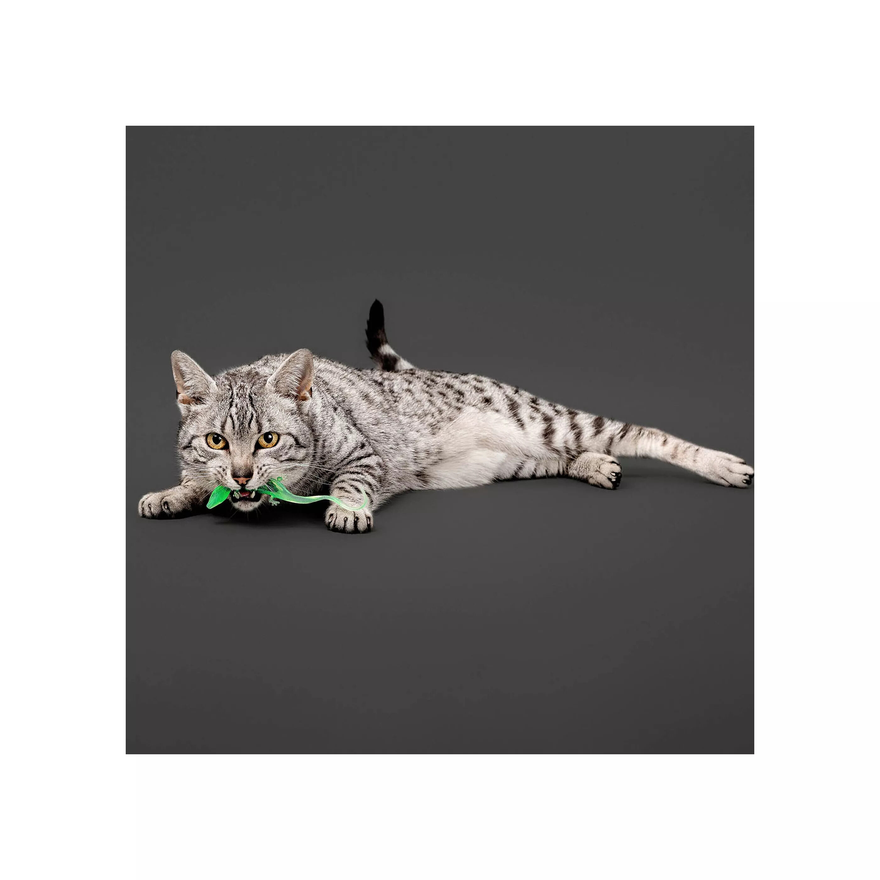 Playology - Jouet L&eacute;zard Scintillant pour Chats Image num&eacute;ro 3