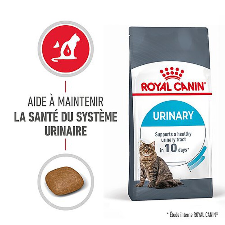 Royal Canin urinary chat