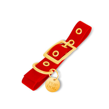 Pop Dog - Collier à ¼illet Diablotin Rouge pour Chien