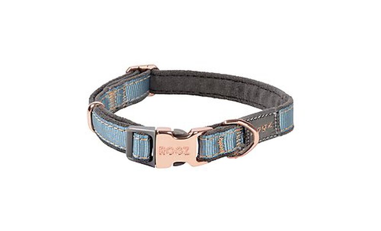 Rogz - Collier Urban Turquoise pour Chiens - S image number null