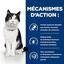 Hill's - Croquettes Prescription Diet I/D Digestive au Poulet pour Chats - 1,5Kg Indicateur image numéro 5