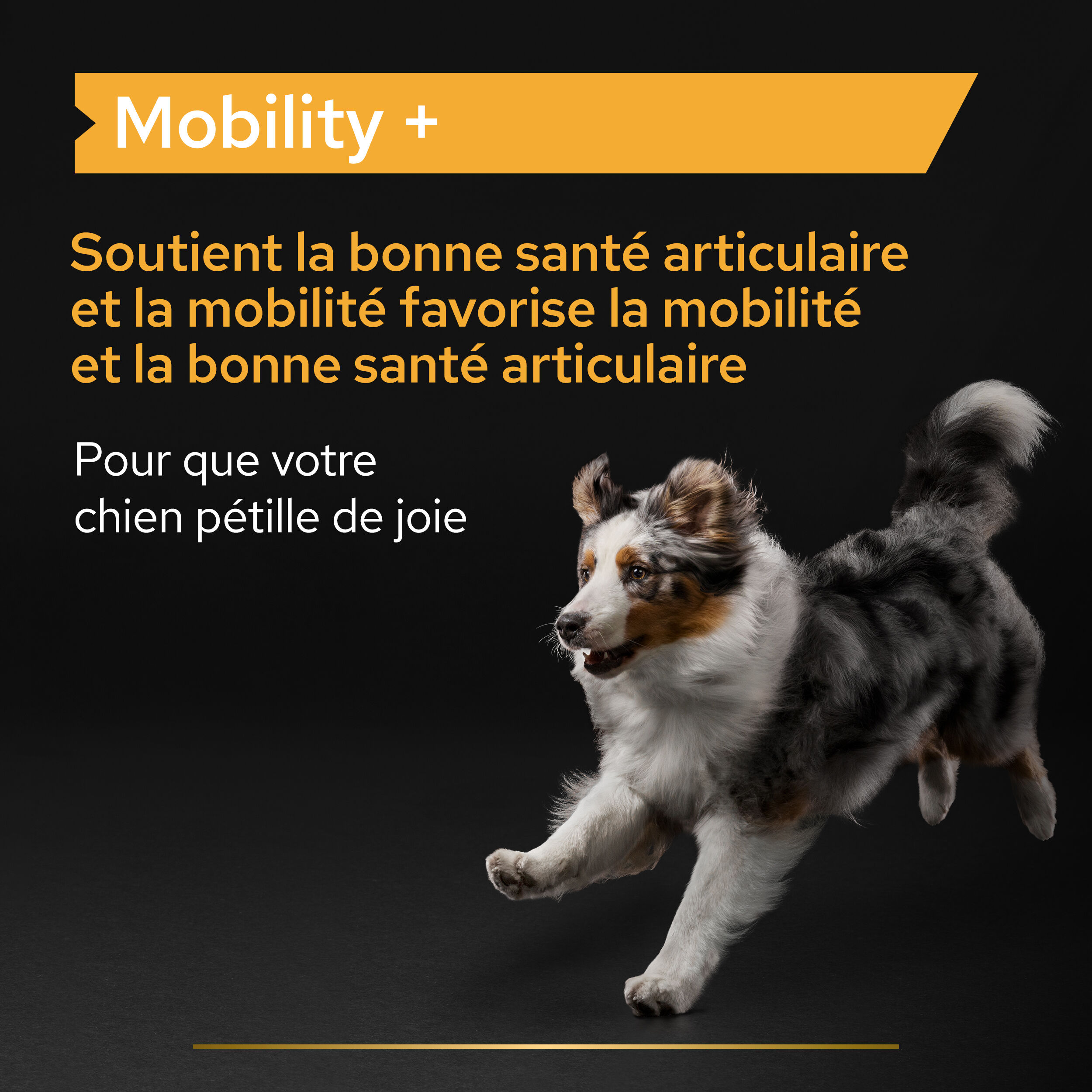 Pro Plan - Aliment compl&eacute;mentaire en Poudre Mobility+ pour Chiens - 60g Image num&eacute;ro 5