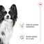 Royal Canin - Sachets Humides en Sauce X-Small Adult - 12x85g Indicateur image numéro 4