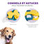 Nina Ottosson - Jeu Educatif Dog Tornado-Blu pour Chiens Indicateur image numéro 4