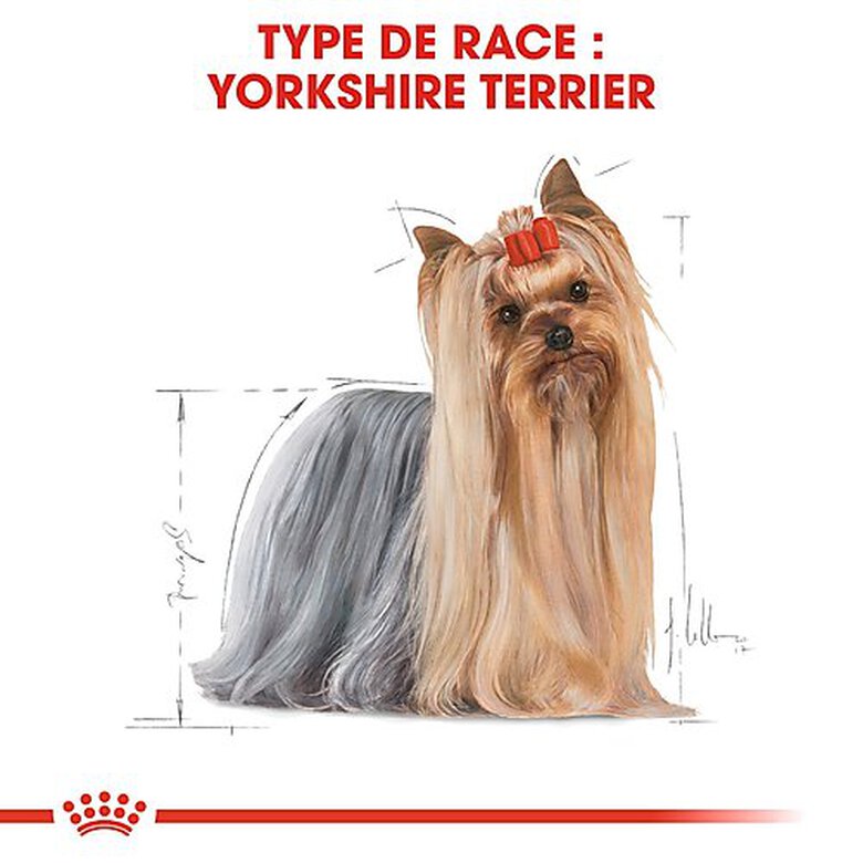 Royal Canin - Croquettes Yorkshire Terrier pour Chien Adulte - 1,5Kg image number null