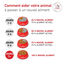 Royal Canin - Croquettes Veterinary Glycobalance Diabetic pour Chien - 12Kg Indicateur image num&eacute;ro 8