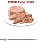 Royal Canin - Boîte Babycat Instinctive pour Chaton - 195g image number null