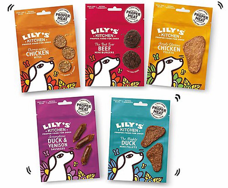 Lily's Kitchen - Friandises Duck Mini Fillets au Canard pour Chien - 70g Image numéro 3 Lily's Kitchen - Friandises Duck Mini Fillets au Canard pour Chien - 70g Image numéro 3