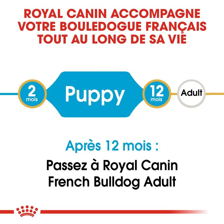 Royal Canin - Croquettes Bouledogue Français Junior pour Chiot - 10Kg Image numéro 2 Royal Canin - Croquettes Bouledogue Français Junior pour Chiot - 10Kg Image numéro 2