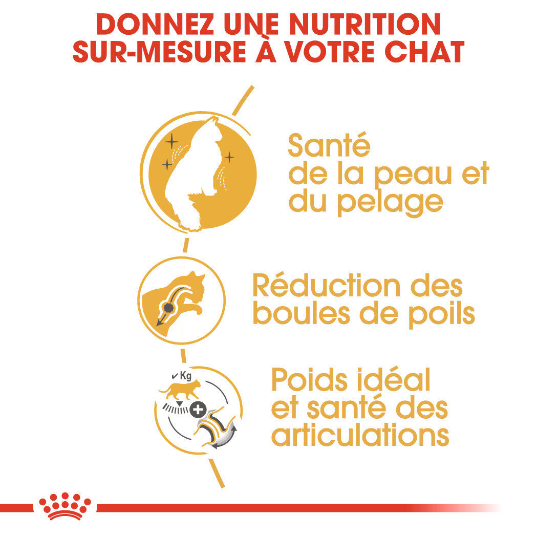 Royal Canin - Croquettes Norwegian Adult pour Chat - 2Kg Image num&eacute;ro 4