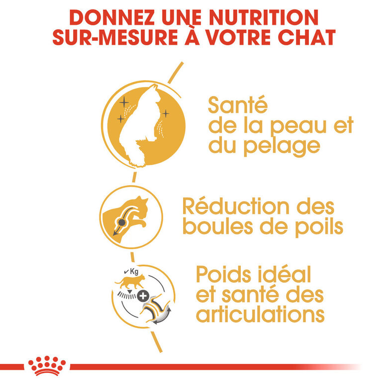 Royal Canin - Croquettes Norwegian Adult pour Chat - 2Kg Image numéro 4 Royal Canin - Croquettes Norwegian Adult pour Chat - 2Kg Image numéro 4