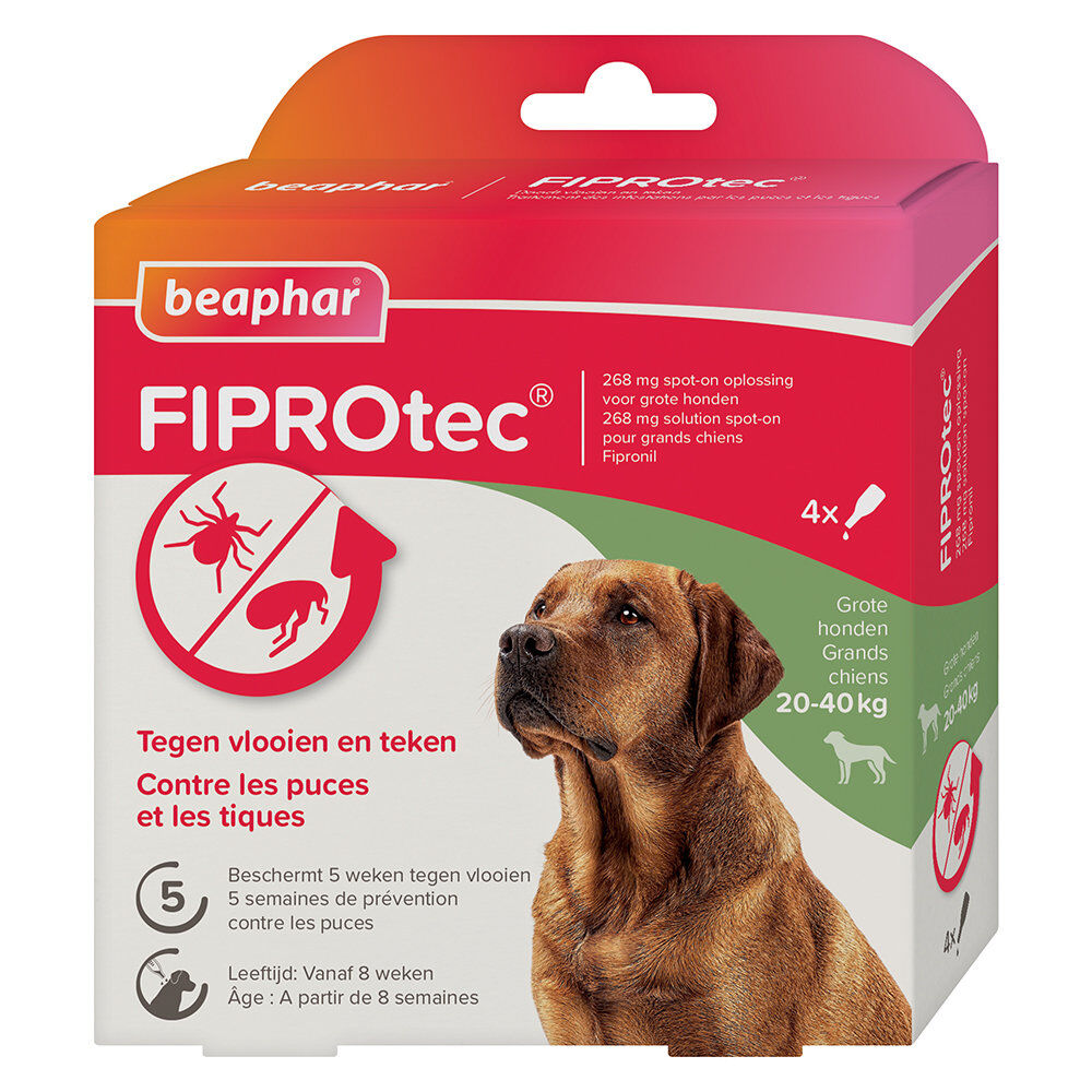 Beaphar - Pipettes Antiparasitaires Fiprotec pour Grand Chien - X4 Image num&eacute;ro 1