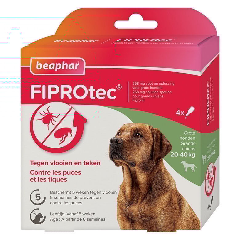 Beaphar - Pipettes Antiparasitaires Fiprotec pour Grand Chien - X4 Image numéro 1 Beaphar - Pipettes Antiparasitaires Fiprotec pour Grand Chien - X4 Image numéro 1