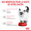 Royal Canin - Croquettes Kitten pour Chaton - 4Kg Indicateur image numéro 4