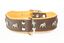 Yogipet - Collier Super Bulldog Cuir pour Chien Marron - T75 60/73cm Indicateur image numéro 1