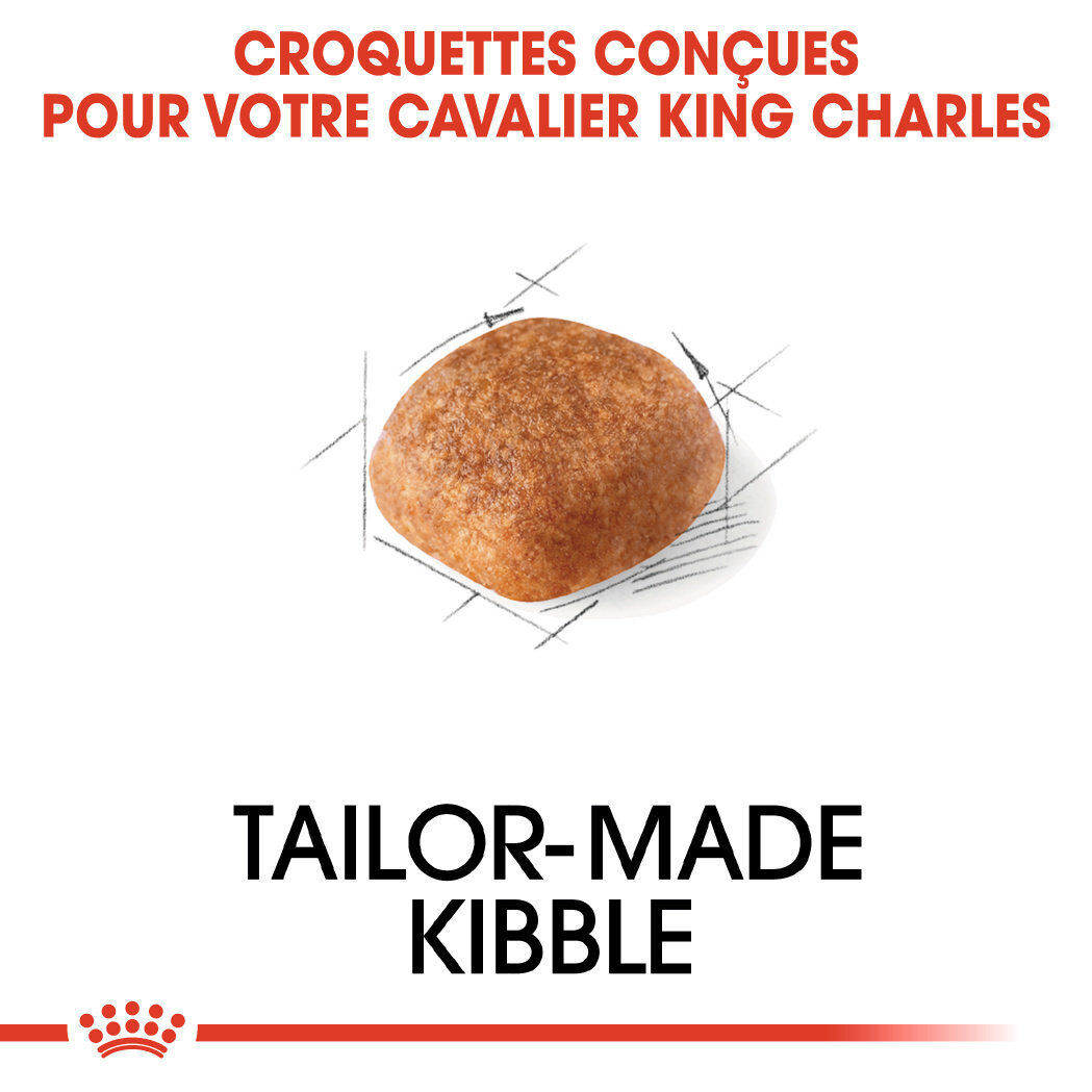 Royal Canin - Croquettes Cavalier King Charles Adult - 1,5Kg Image num&eacute;ro 4