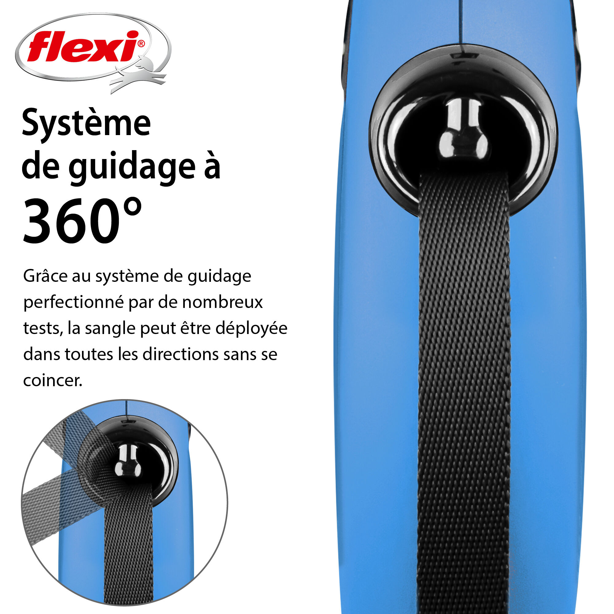 Flexi - Laisse &agrave; Enrouleur Classic Sangle L pour Chiens - 5m/ Bleu Image num&eacute;ro 2