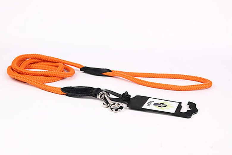 Yogipet - Laisse Corde 0,6/120cm pour Chien - Orange image number null