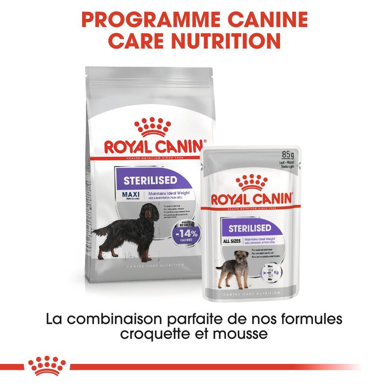 Royal Canin - Croquettes Maxi Sterilised pour Chien Adulte Stérilisé - 3Kg Image numéro 6 Royal Canin - Croquettes Maxi Sterilised pour Chien Adulte Stérilisé - 3Kg Image numéro 6
