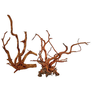 Amtra - Racine Bois Red Spider King - M