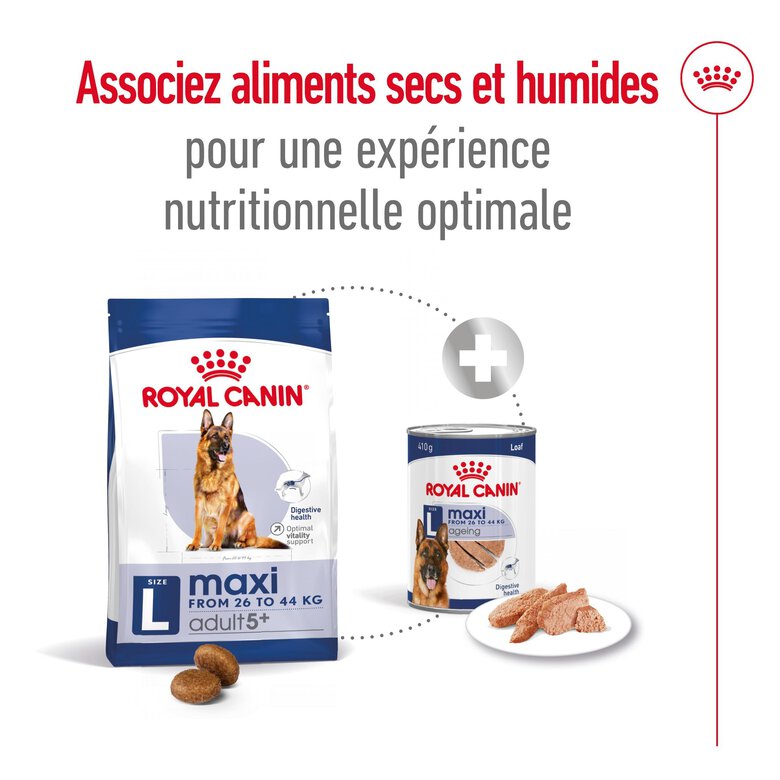 Royal Canin - Croquettes Maxi Adulte 5+ pour Chien Adulte - 15Kg Image numéro 9 Royal Canin - Croquettes Maxi Adulte 5+ pour Chien Adulte - 15Kg Image numéro 9