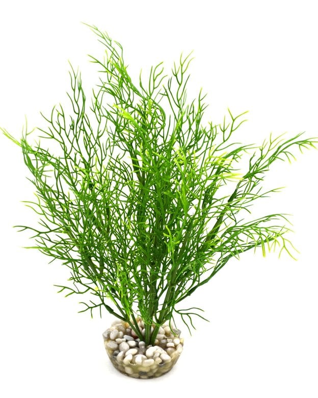 Labeo - Décoration Plante Artificielle Salicorne pour Aquarium Image numéro 1 Labeo - Décoration Plante Artificielle Salicorne pour Aquarium Image numéro 1