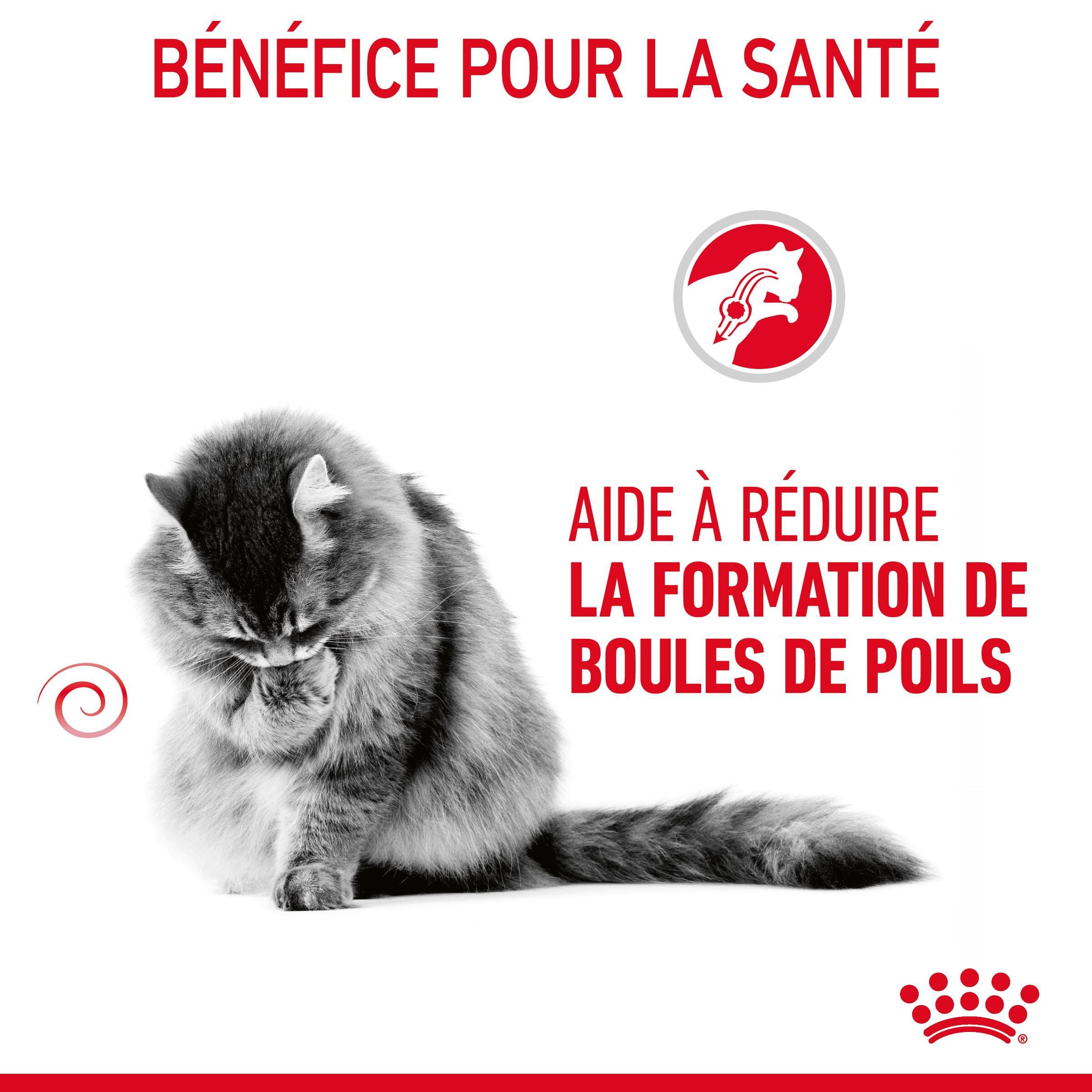 Royal Canin - Croquettes Hairball Care pour Chat - 4Kg Image num&eacute;ro 7