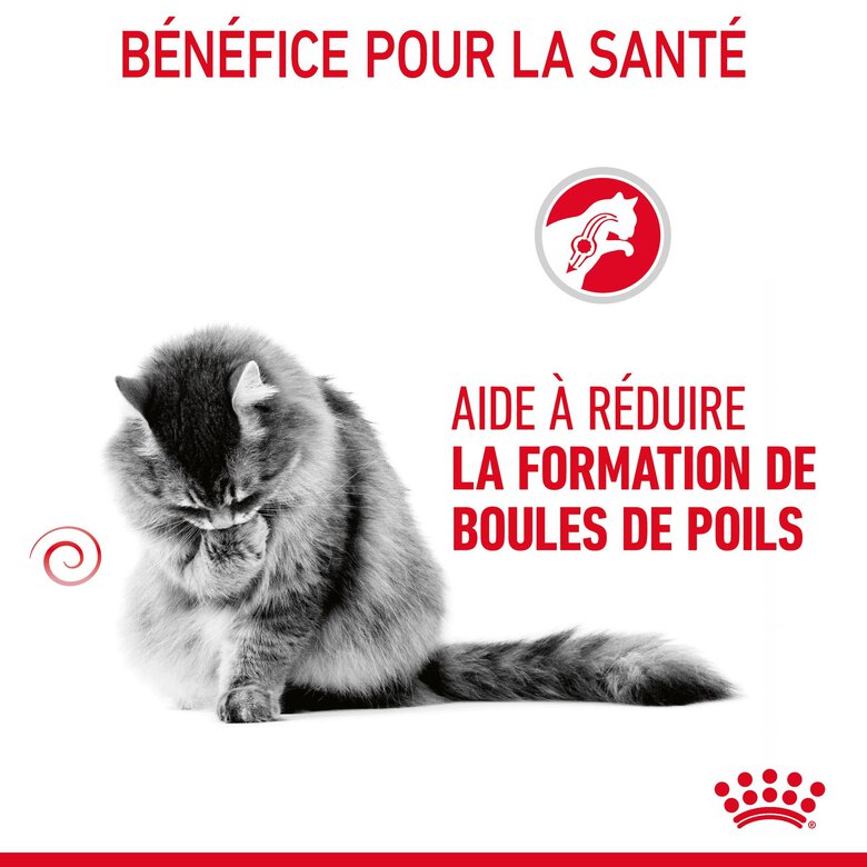 Royal Canin - Croquettes Hairball Care pour Chat - 4Kg Image numéro 6 Royal Canin - Croquettes Hairball Care pour Chat - 4Kg Image numéro 6