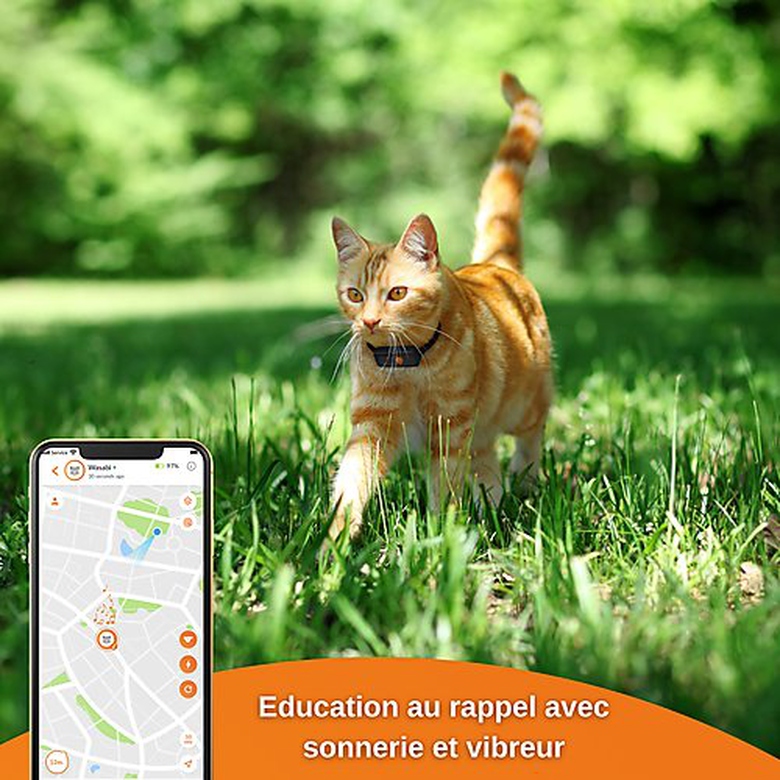 Traceur GPS chien et chat waterproof