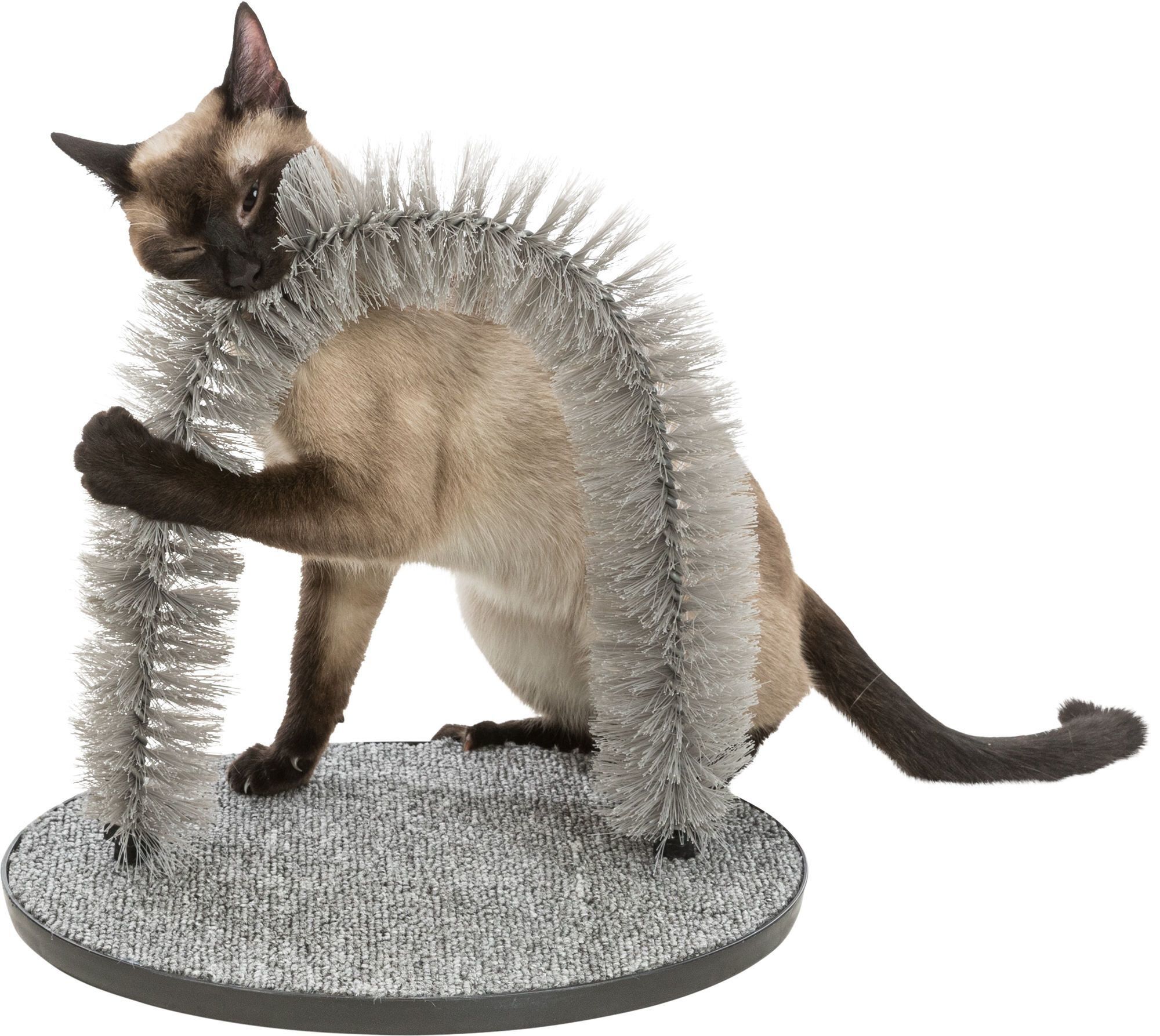 Trixie - Arc de Massage et de Soins du Pelage Gris pour Chat - 36&times;33cm Image num&eacute;ro 4