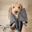 The Concept Factory - Serviette Microfibre pour Chiens et Chats - 65cm Indicateur image numéro 3