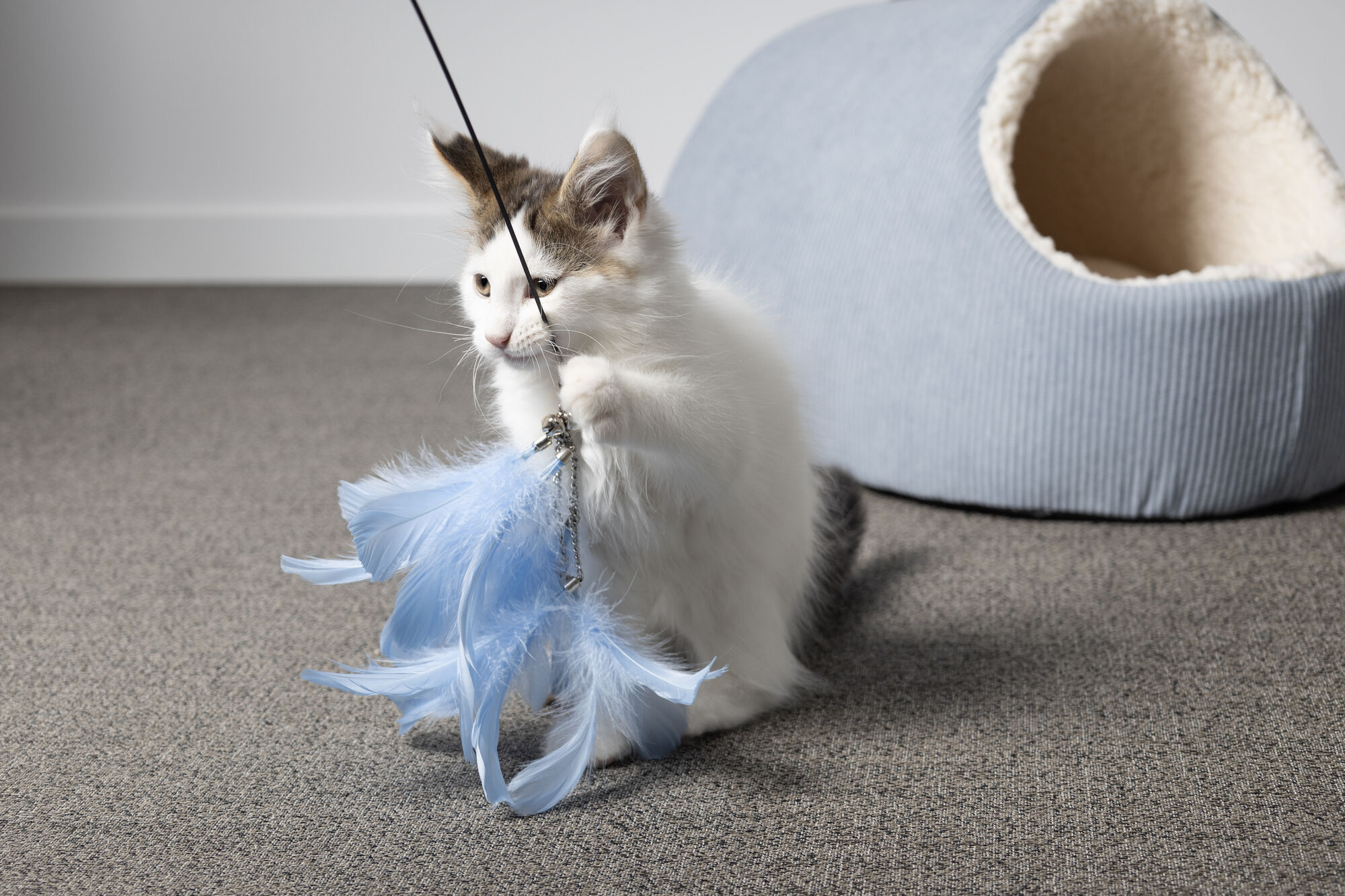Flamingo - Canne &agrave; P&ecirc;che Nimmy pour Chats - 186cm Image num&eacute;ro 10