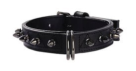Bobby - Collier Pretty Vert pour Chiens
