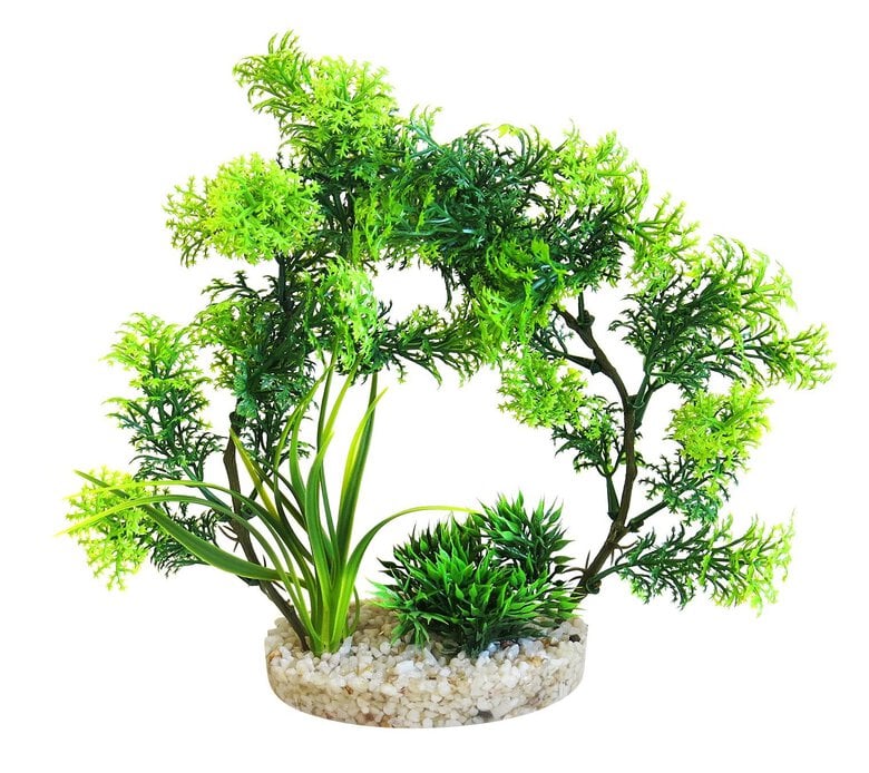 Sydeco - Décoration pour Aquarium Arche Plante - 21cm Image numéro 1 Sydeco - Décoration pour Aquarium Arche Plante - 21cm Image numéro 1