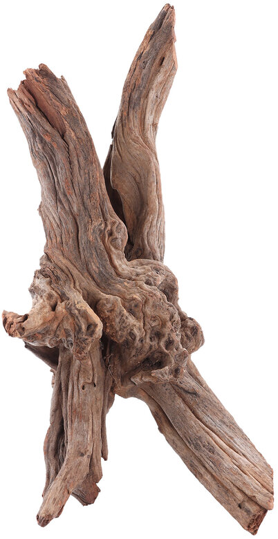 Sera - Rascine Bois Naturel Drift Wood M Image numéro 1 Sera - Rascine Bois Naturel Drift Wood M Image numéro 1