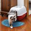 Ferplast - Maison de Toilettes Prima pour Chats - Bordeaux Indicateur image numéro 5