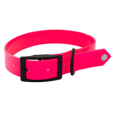 Arka - Collier de Chasse Fluo Rose pour Chiens